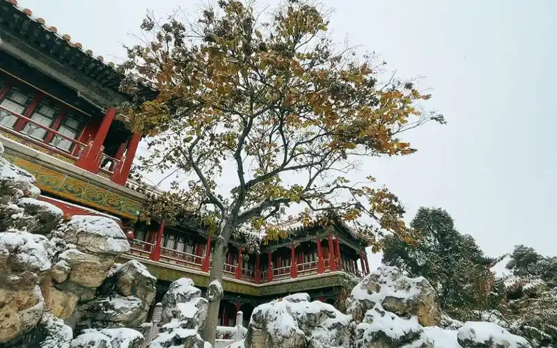 故宫|御花园|雪|北京