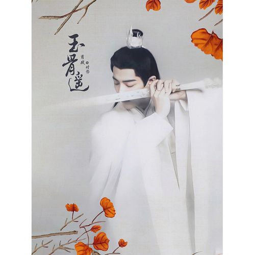 肖战新剧玉骨遥数字油画diy画画填色画板涂色卧室装饰画填充画