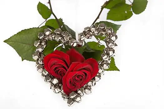 情人节玫瑰花图片