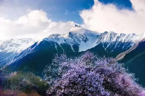 中国最美山景在哪里是黄山武陵源是庐山泰山踏春访山了