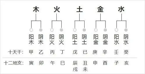 八字阴阳对照表 天干阴阳五行表
