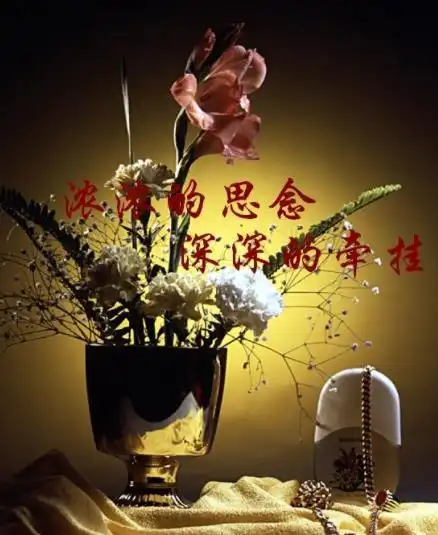 关心牵挂的问候图片