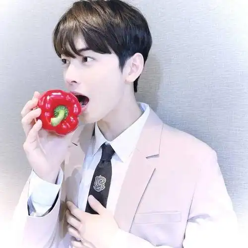 【微信头像】车银优