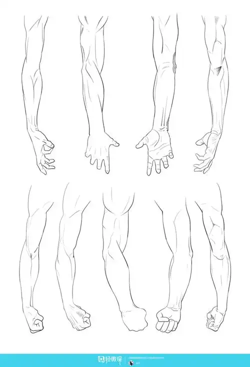 作业:如何学动漫插画之手臂的画法与训练技巧 - 兜子 - 轻微课