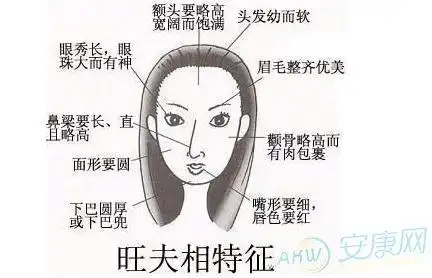 相学分析旺夫女人的面相特征大全图文
