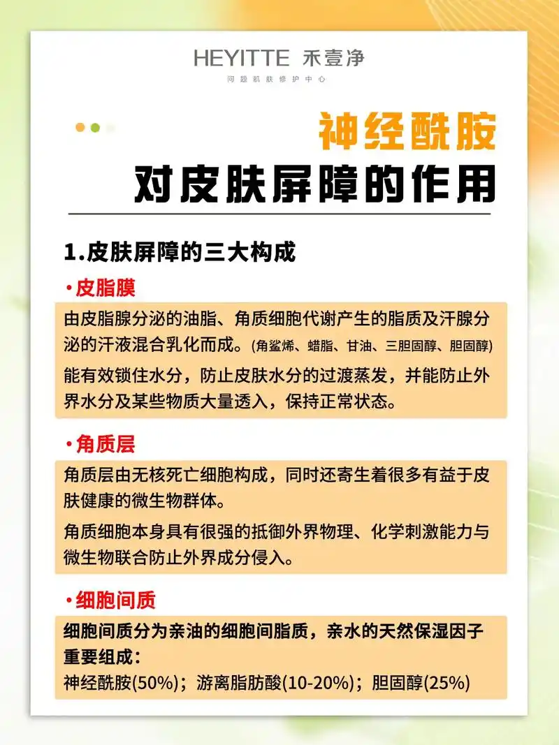 神经酰胺对皮肤屏障的作用.#美容院加盟 更多皮肤管理和美业经 - 抖音