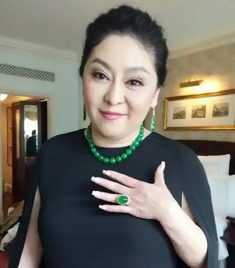 年轻时代的向太陈岚美艳无双,追求者里包括首富之子陈岚却选择舍弃