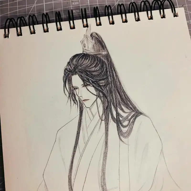 日常瞎画 #铅笔画 #古风 #楚晚宁 #二哈和他的 - 抖音