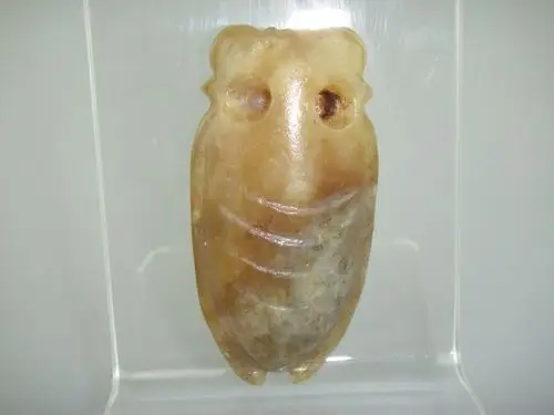 红山玉蝉 - 红山文化 论坛 - 任南红山文化官网 - powered by discuz!