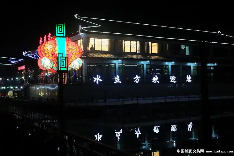 美在长荡湖夜景欣赏