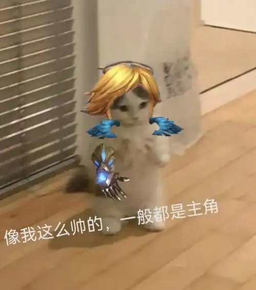 英雄联盟猫猫表情包(第六期)