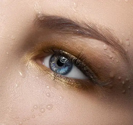 美丽的女性眼睛涂着金黄眼影