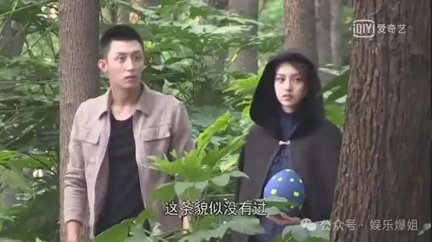 202442张元英回国发展黄景瑜张艺上张云龙私生活唐鹤德新恋人白日追凶