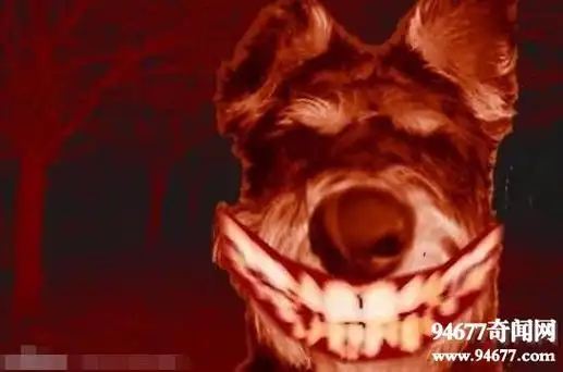 微笑狗为什么吓人呢,因为大晚上的,看到这只微笑的狗恐怖原图,英文名