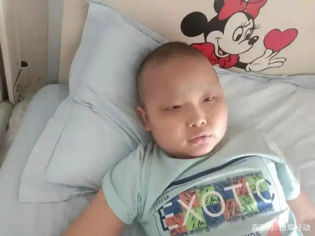 山东菏泽10岁小胖孩儿突发白血病,年轻母亲一夜白头