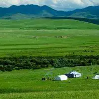 微信头像草原清新青青大草原唯美头像图片点击鼠标右键下载