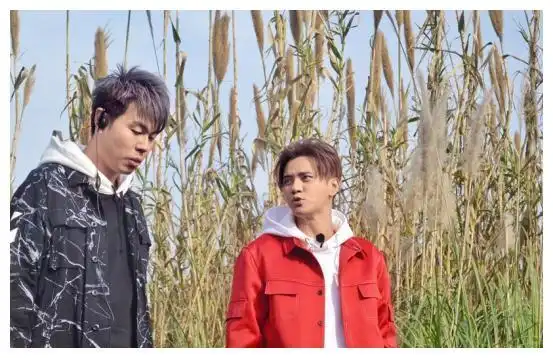 《极限挑战》罗志祥全程不开心!原来是摔倒了!黄磊抱着他太感人