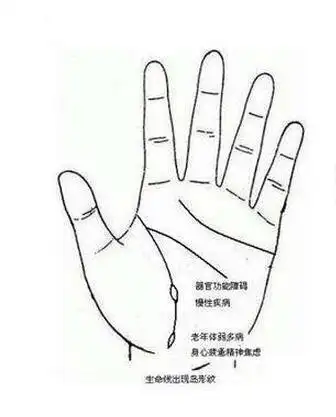 岛纹在手相中代表什么