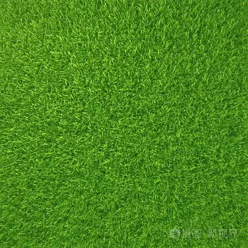 自然背景纹理.新鲜的春绿草