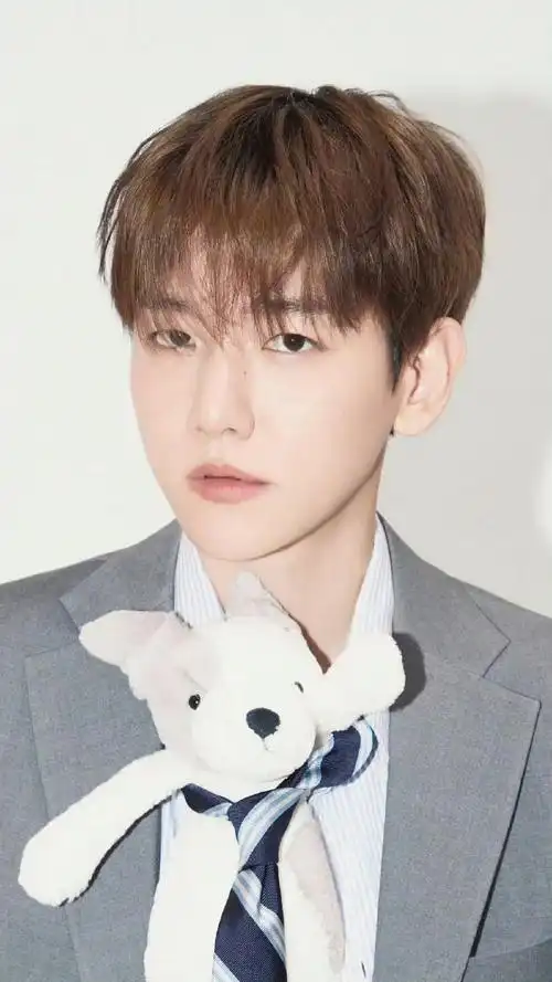 边伯贤##吴世勋