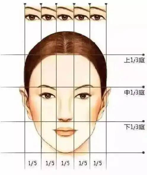 专业化妆师必须了解的三庭五眼!收藏