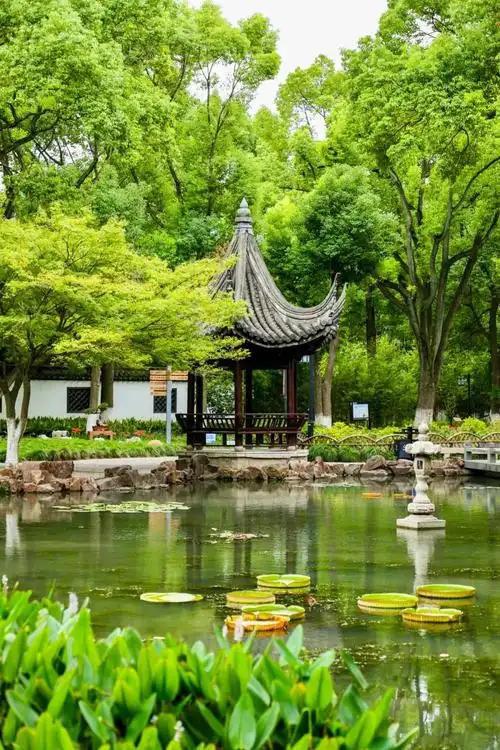 全省首批完成生物多样性本底调查,昆山天福国家湿地公园入选联合国"