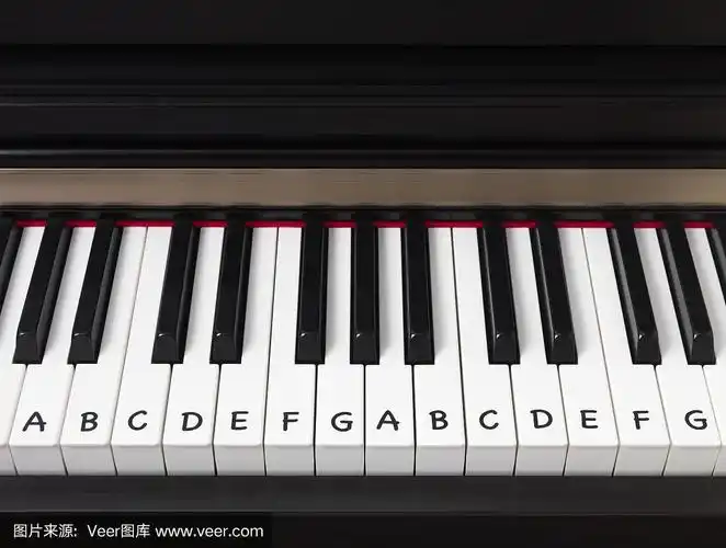 学习钢琴琴键 和弦