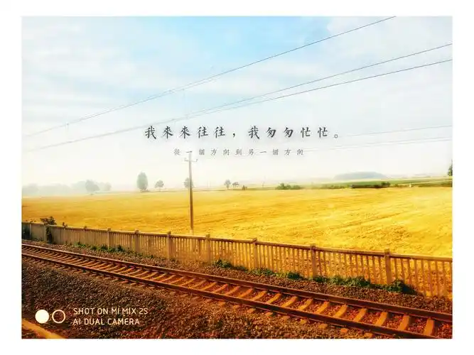 来来往往,匆匆忙忙,火车飞驰,时光易逝!