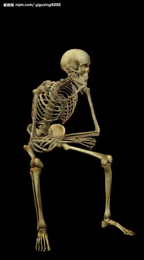 找一张坐下的骷髅图片.