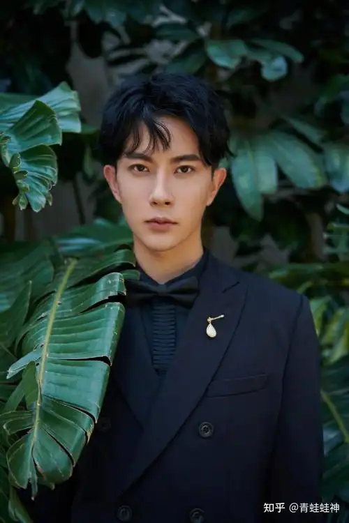 中国34省最帅男明星代表,不服来辩