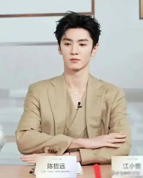 中国12大美男"的排行榜引发了热议,其中杨洋,刘学义,肖战等众多明星的