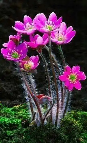 340_555竖版 竖屏