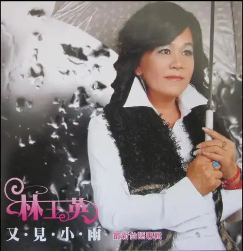 p data-id="syhaytiqk6zm">《又见小雨》是由林玉英演唱一首中文歌曲