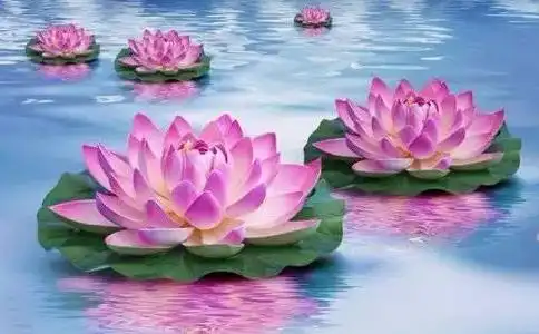 七宝莲花具足了三种功德与含义