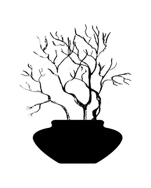 黑白背景插图插画下载