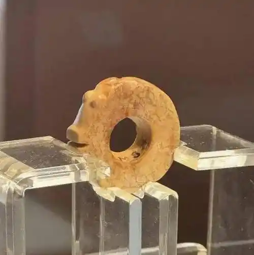 一起看看常熟这些重宝!_良渚文化_双龙_玉龙