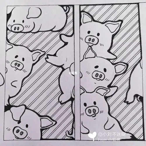 我的日常  #线的构成  #线条  不知道画什么,好烦啊,就想到了小猪猪