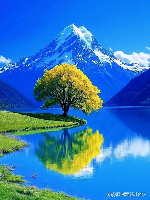 干净靓丽,做壁纸屏保背景墙的图片,收藏使用吧!