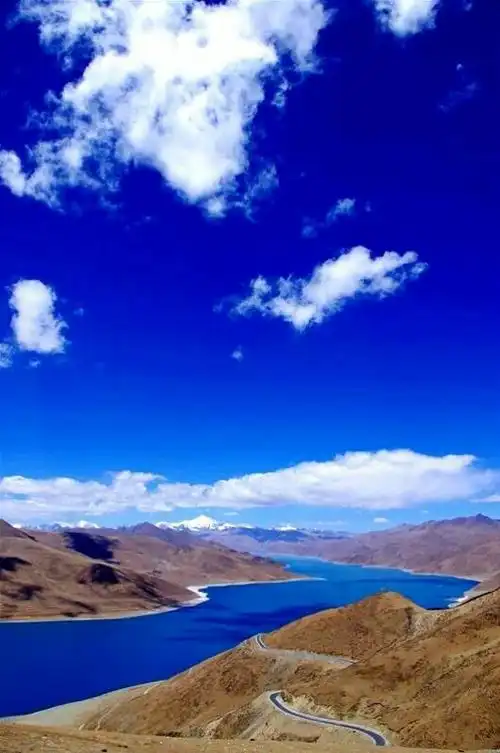 西海情歌 一个凄美的爱情故事