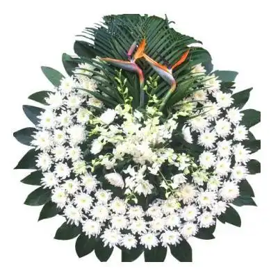 严颜已逝——玖玖花圈玖玖花圈