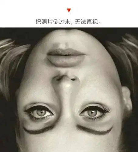 这组图片倒着看跟正着看居然差别这么大