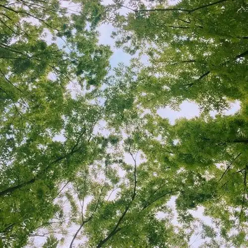 世中仙儿の 背景 壁纸 横图[原宿风][欧美][人物][风景][动漫卡通]