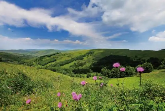 饮马池高山草甸风景名胜区