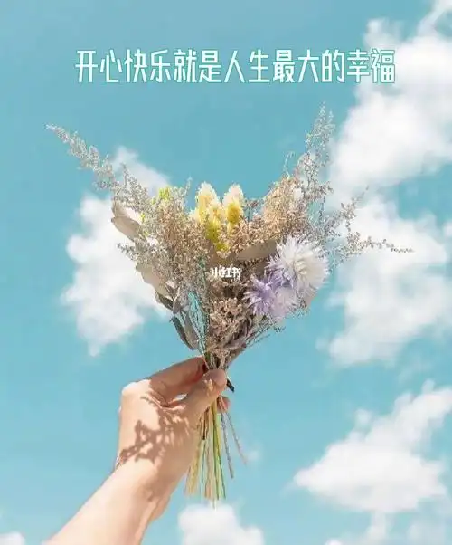 开心快乐就是人生最大的幸福