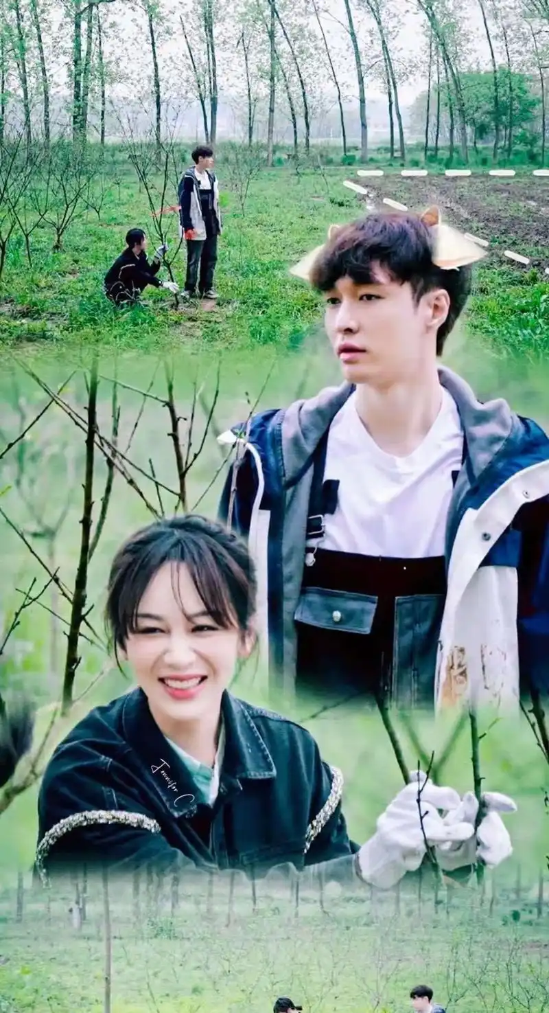 原创黄磊和孙红雷撮合杨紫和张艺兴的恋情网友调侃难得的一对