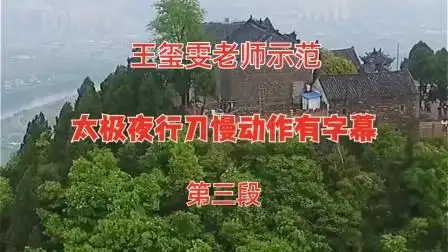 太极夜行刀第三段慢动作王玺雯老师示范