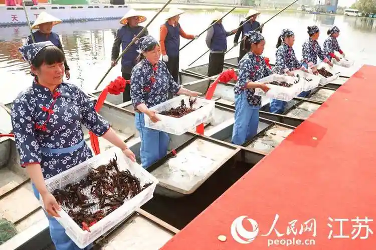 江苏盱眙小龙虾抢"鲜"上市