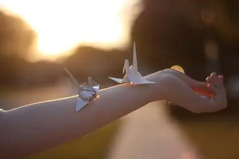 用心折千纸鹤能给爱的人带来幸福与好运_唯美图片