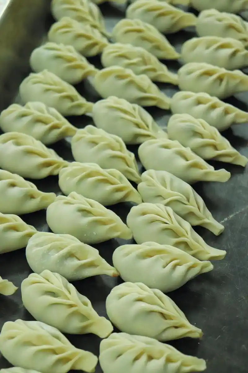 手工水饺.佳丽生活的点点滴滴 #包饺子是一种乐趣 #自己动手 - 抖音