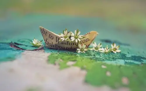 植物花卉唯美图片桌面壁纸